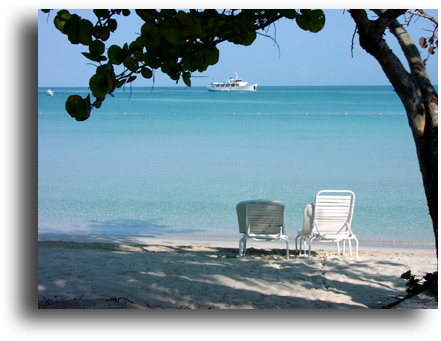 Couples Beach and Sea Grapes