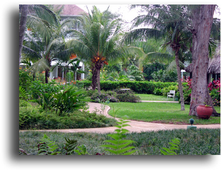 Couples Room 9104 Garden View