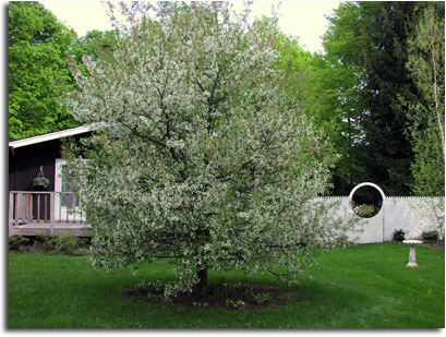 Welcome to the Schunk Family Web Page